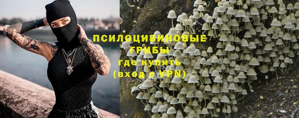 не бодяженный Алзамай
